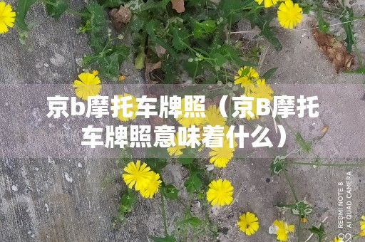 京b摩托车牌照（京B摩托车牌照意味着什么）