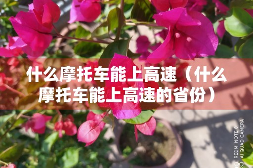 什么摩托车能上高速（什么摩托车能上高速的省份）