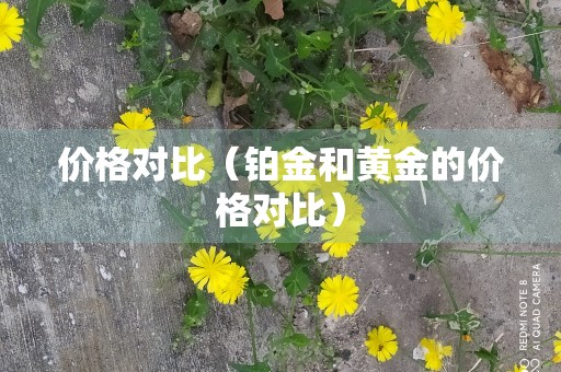 价格对比（铂金和黄金的价格对比）