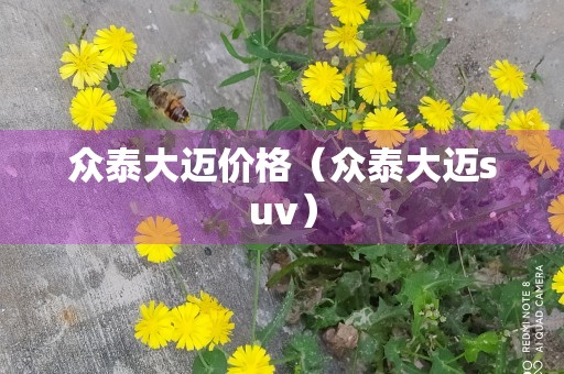 众泰大迈价格（众泰大迈suv）