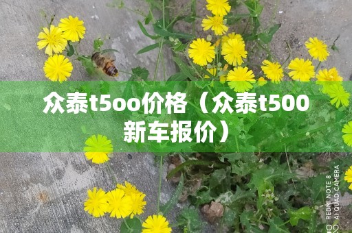 众泰t5oo价格（众泰t500新车报价）