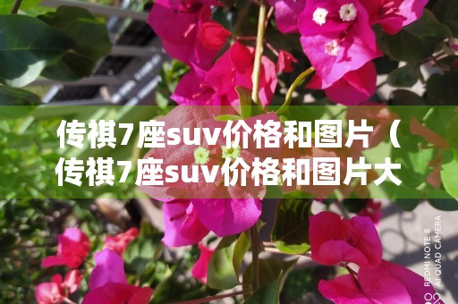 传祺7座suv价格和图片（传祺7座suv价格和图片大全）