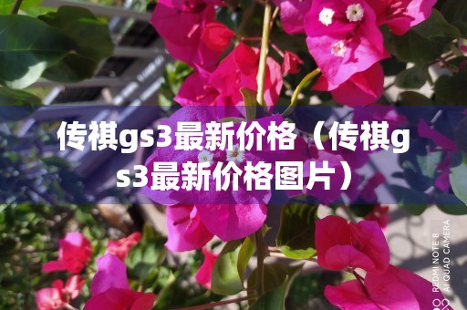 传祺gs3最新价格（传祺gs3最新价格图片）