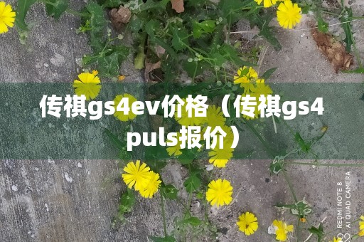 传祺gs4ev价格（传祺gs4puls报价）