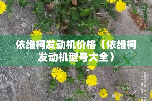 依维柯发动机价格（依维柯发动机型号大全）