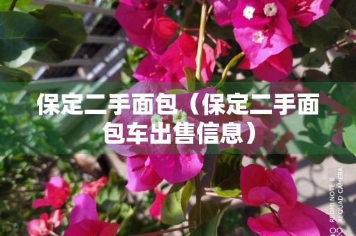 保定二手面包（保定二手面包车出售信息）