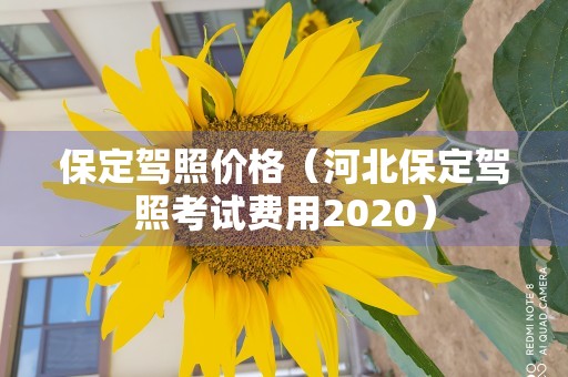 保定驾照价格（河北保定驾照考试费用2020）