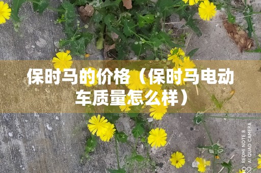 保时马的价格（保时马电动车质量怎么样）