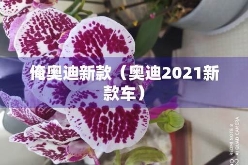 俺奥迪新款（奥迪2021新款车）