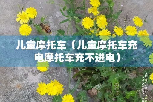 儿童摩托车（儿童摩托车充电摩托车充不进电）