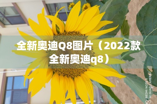 全新奥迪Q8图片（2022款全新奥迪q8）