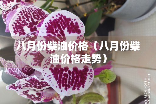 八月份柴油价格（八月份柴油价格走势）