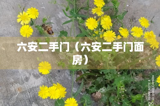 六安二手门（六安二手门面房）