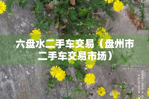 六盘水二手车交易（盘州市二手车交易市场）