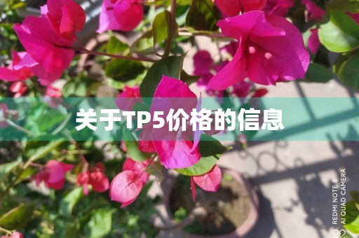 关于TP5价格的信息