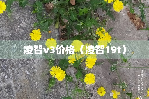 凌智v3价格（凌智19t）