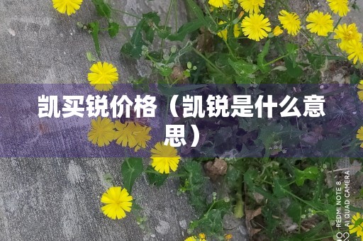 凯买锐价格（凯锐是什么意思）