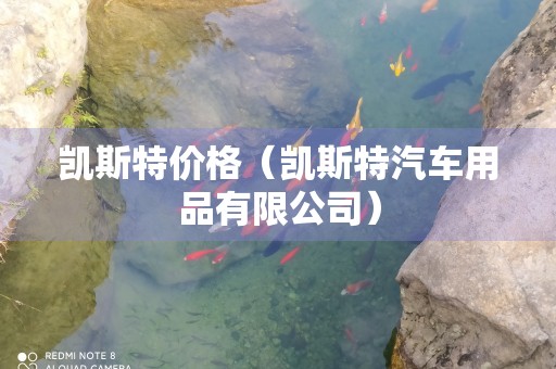 凯斯特价格（凯斯特汽车用品有限公司）