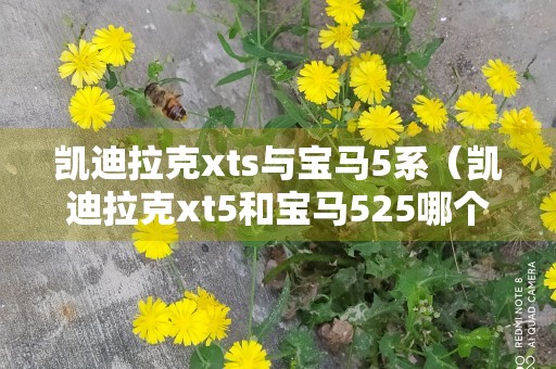 凯迪拉克xts与宝马5系（凯迪拉克xt5和宝马525哪个好）