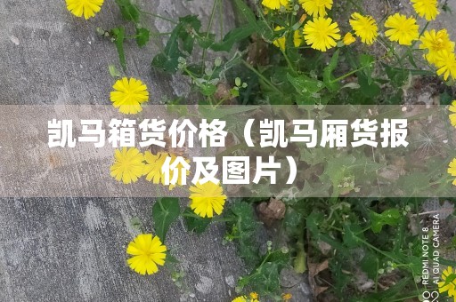 凯马箱货价格（凯马厢货报价及图片）