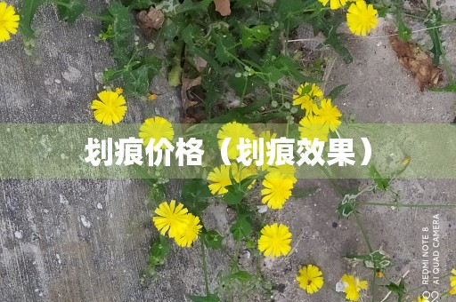 划痕价格（划痕效果）