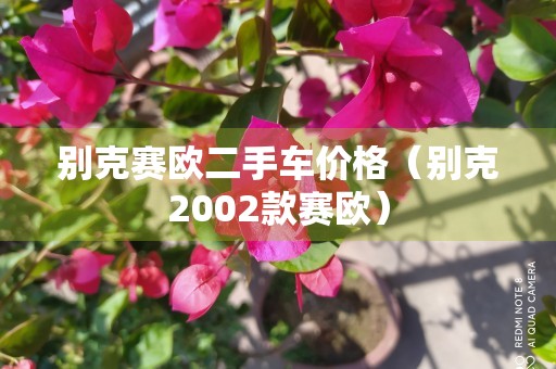 别克赛欧二手车价格（别克2002款赛欧）