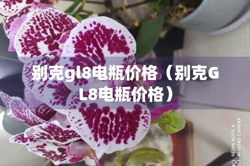 别克gl8电瓶价格（别克GL8电瓶价格）