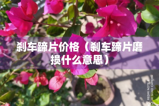 刹车蹄片价格（刹车蹄片磨损什么意思）