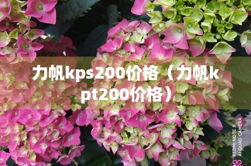 力帆kps200价格（力帆kpt200价格）