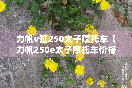 力帆v缸250太子摩托车（力帆250e太子摩托车价格）