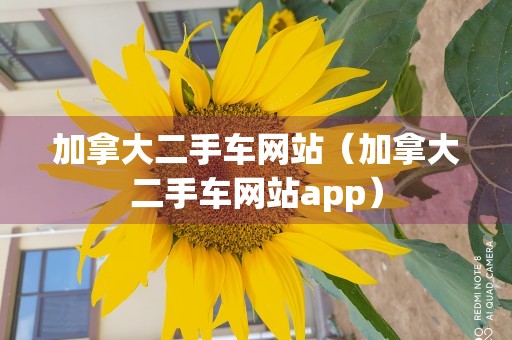 加拿大二手车网站（加拿大二手车网站app）