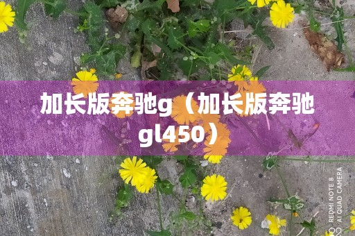 加长版奔驰g（加长版奔驰gl450）