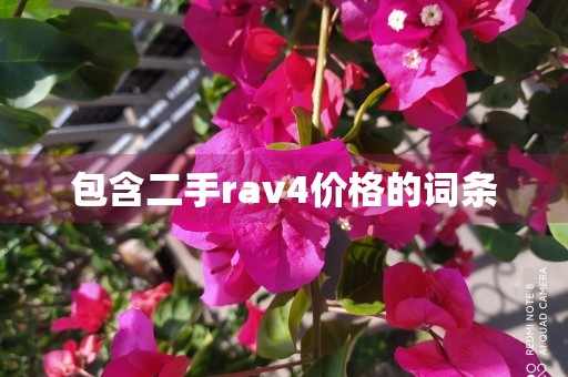 包含二手rav4价格的词条