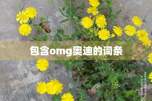 包含omg奥迪的词条