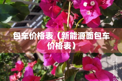 包车价格表（新能源面包车价格表）