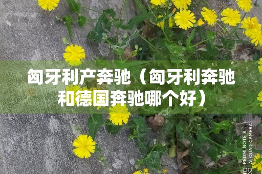 匈牙利产奔驰（匈牙利奔驰和德国奔驰哪个好）