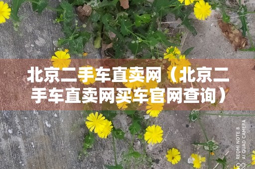 北京二手车直卖网（北京二手车直卖网买车官网查询）