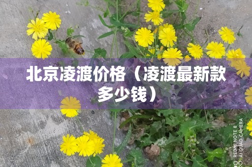 北京凌渡价格（凌渡最新款多少钱）