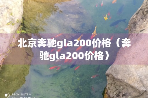 北京奔驰gla200价格（奔驰gla200价格）