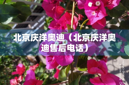 北京庆洋奥迪（北京庆洋奥迪售后电话）