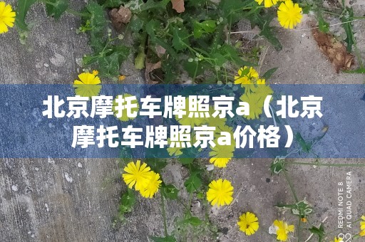 北京摩托车牌照京a（北京摩托车牌照京a价格）