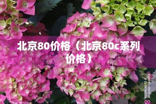 北京80价格（北京80c系列价格）