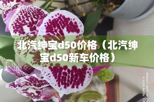 北汽绅宝d50价格（北汽绅宝d50新车价格）