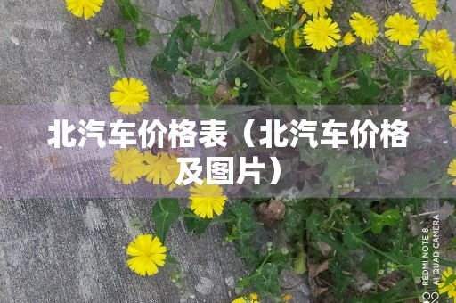 北汽车价格表（北汽车价格及图片）