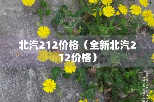 北汽212价格（全新北汽212价格）