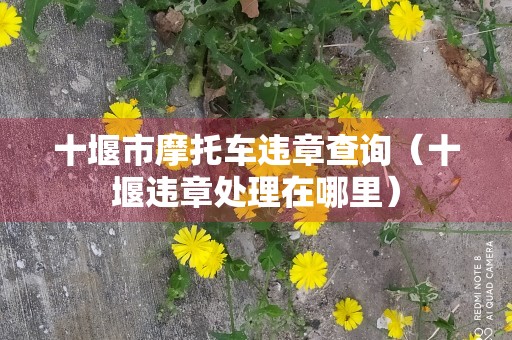 十堰市摩托车违章查询（十堰违章处理在哪里）