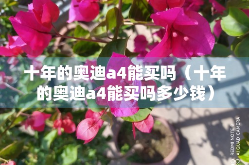 十年的奥迪a4能买吗（十年的奥迪a4能买吗多少钱）