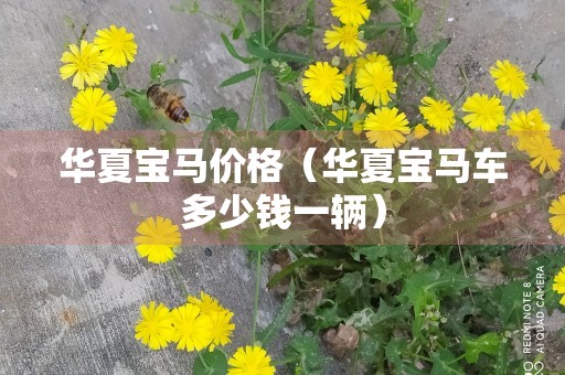 华夏宝马价格（华夏宝马车多少钱一辆）