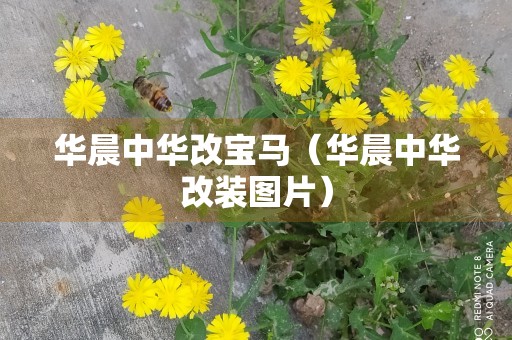 华晨中华改宝马（华晨中华改装图片）