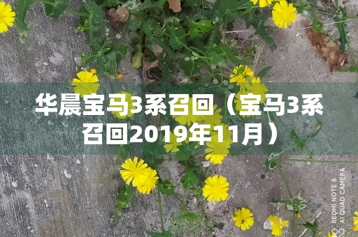 华晨宝马3系召回（宝马3系召回2019年11月）